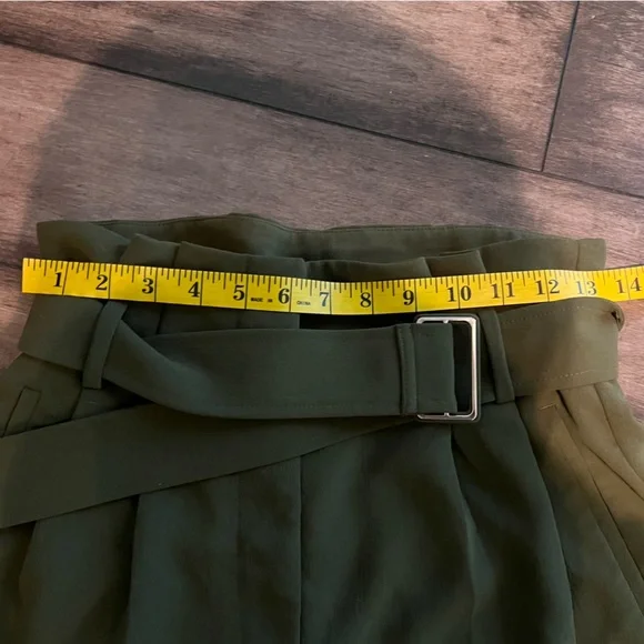 ARITZIA Wilfred Olive Green High-Waisted Wide Leg Belted Pants - Picture 13 of 14
